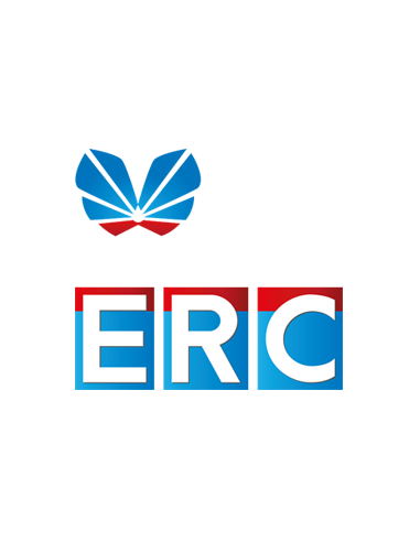 ERC nettoyant inj diesel