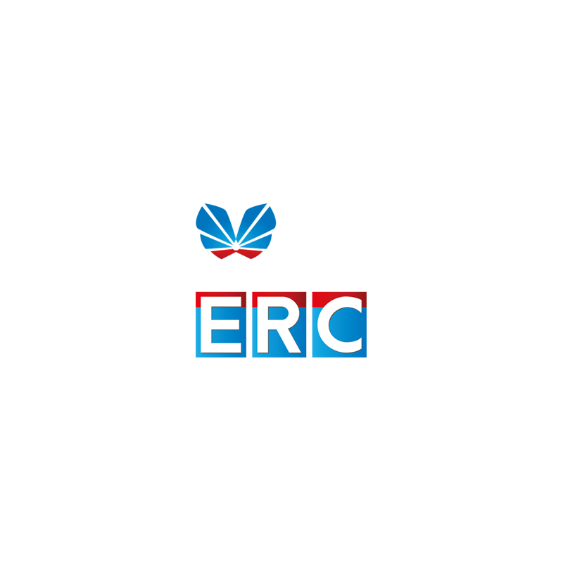 ERC nettoyant inj diesel